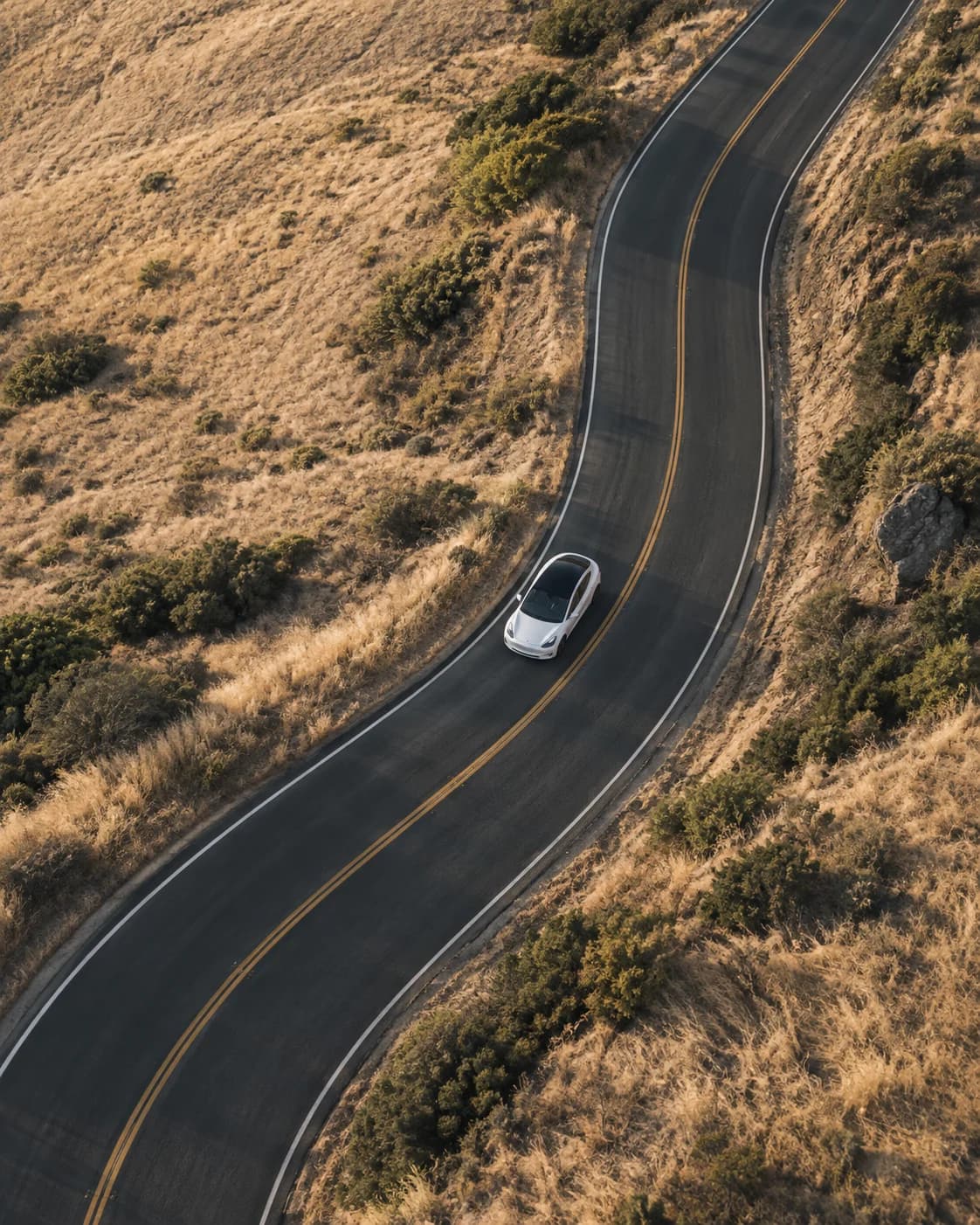 A white Tesla following a winding road through sunlit coastal grassland